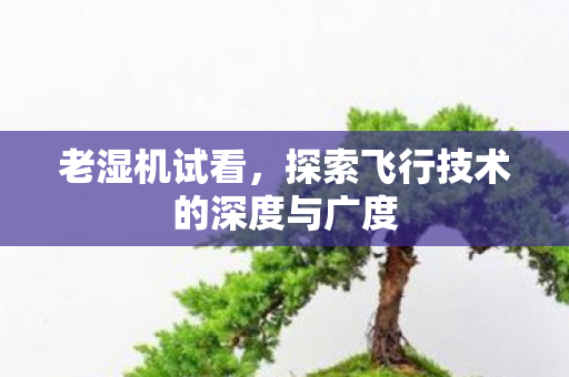 老湿机试看,探索飞行技术的深度与广度 老湿机试看,探索飞行技术的深度与广度