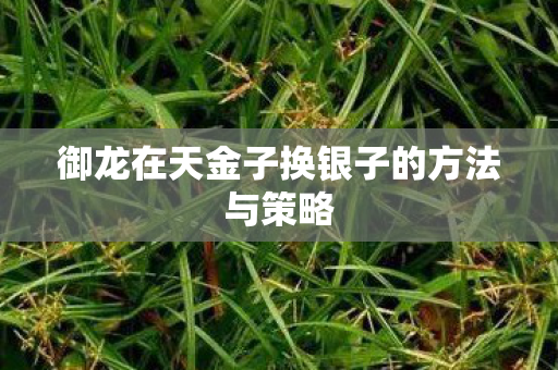 御龙在天金子换银子的方法与策略 御龙在天金子换银子的方法与策略
