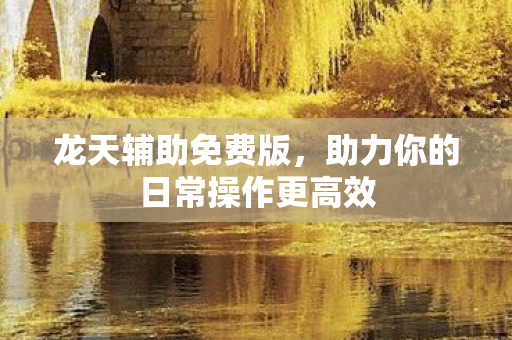 龙天辅助免费版，助力你的日常操作更高效