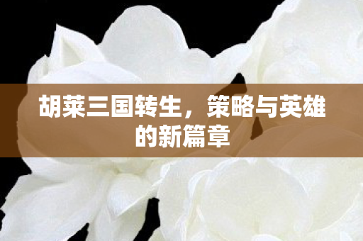 胡莱三国转生,策略与英雄的新篇章 胡莱三国转生,策略与英雄的新篇章
