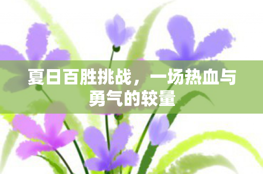 夏日百胜挑战,一场热血与勇气的较量 夏日百胜挑战,一场热血与勇气的较量