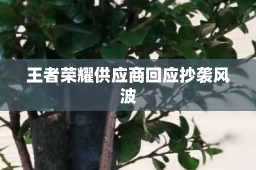 王者荣耀供应商回应抄袭风波 王者荣耀供应商回应抄袭风波
