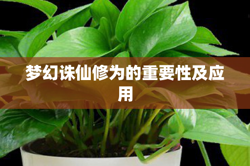 梦幻诛仙修为的重要性及应用