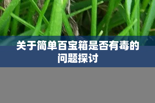关于简单百宝箱是否有毒的问题探讨 关于简单百宝箱是否有毒的问题探讨