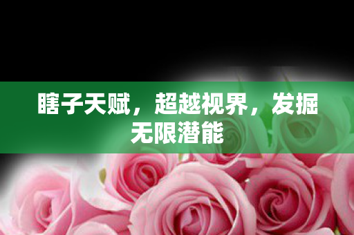 瞎子天赋,超越视界,发掘无限潜能 瞎子天赋,超越视界,发掘无限潜能