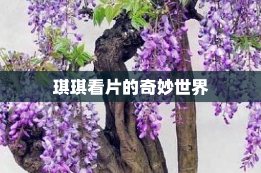 琪琪看片的奇妙世界