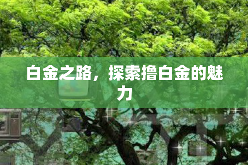 白金之路，探索撸白金的魅力