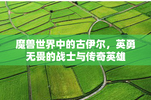 魔兽世界中的古伊尔,英勇无畏的战士与传奇英雄 魔兽世界中的古伊尔,英勇无畏的战士与传奇英雄