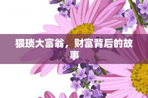 猥琐大富翁,财富背后的故事 猥琐大富翁,财富背后的故事