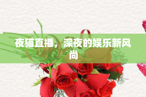 夜猫直播,深夜的娱乐新风尚 夜猫直播,深夜的娱乐新风尚