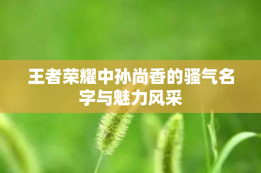 王者荣耀中孙尚香的骚气名字与魅力风采