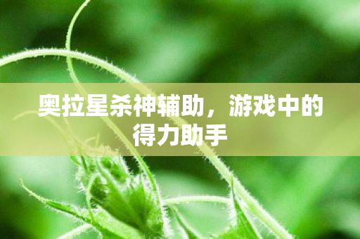 奥拉星杀神辅助，游戏中的得力助手