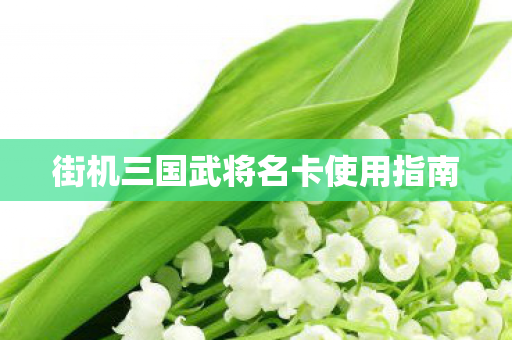 街机三国武将名卡使用指南 街机三国武将名卡使用指南