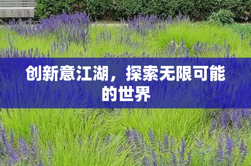 创新意江湖，探索无限可能的世界