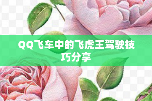 QQ飞车中的飞虎王驾驶技巧分享 QQ飞车中的飞虎王驾驶技巧分享
