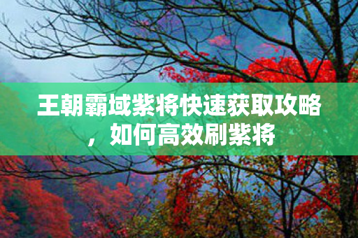 王朝霸域紫将快速获取攻略,如何高效刷紫将 王朝霸域紫将快速获取攻略,如何高效刷紫将