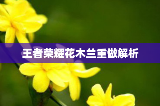 王者荣耀花木兰重做解析 王者荣耀花木兰重做解析
