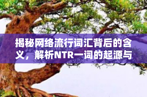 揭秘网络流行词汇背后的含义,解析NTR一词的起源与含义 揭秘网络流行词汇背后的含义,解析NTR一词的起源与含义
