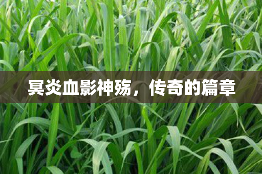 冥炎血影神殇,传奇的篇章 冥炎血影神殇,传奇的篇章