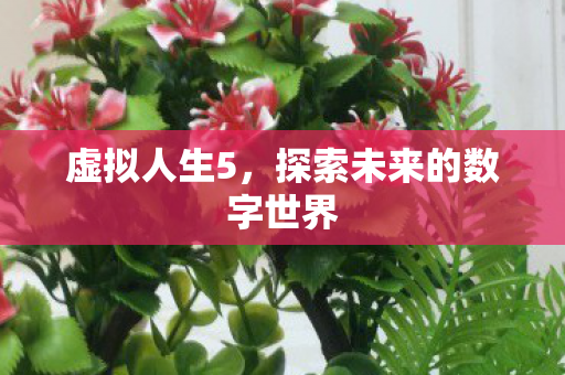 虚拟人生5,探索未来的数字世界 虚拟人生5,探索未来的数字世界