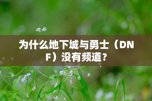 为什么地下城与勇士(DNF)没有频道? 为什么地下城与勇士(DNF)没有频道?