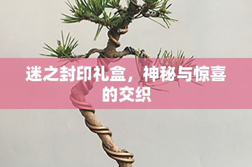 迷之封印礼盒,神秘与惊喜的交织 迷之封印礼盒,神秘与惊喜的交织
