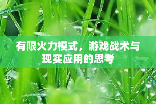 有限火力模式,游戏战术与现实应用的思考 有限火力模式,游戏战术与现实应用的思考
