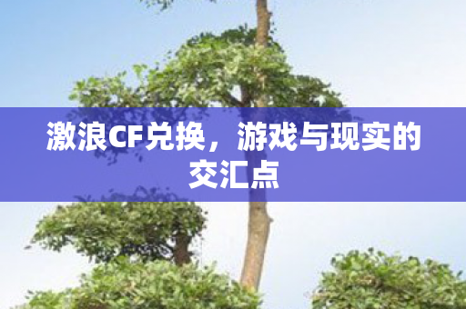 激浪CF兑换,游戏与现实的交汇点 激浪CF兑换,游戏与现实的交汇点