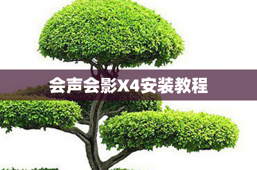 会声会影X4安装教程 会声会影X4安装教程