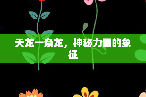 天龙一条龙,神秘力量的象征 天龙一条龙,神秘力量的象征