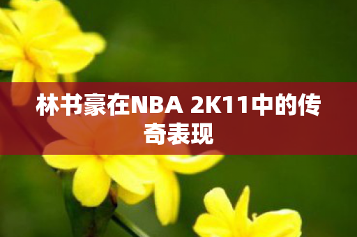 林书豪在NBA 2K11中的传奇表现 林书豪在NBA 2K11中的传奇表现