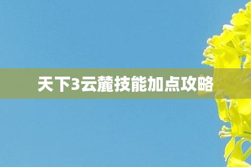 天下3云麓技能加点攻略 天下3云麓技能加点攻略