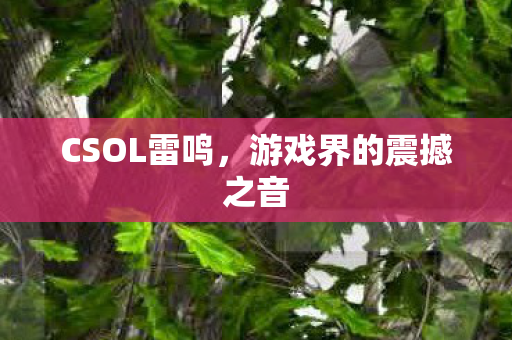 CSOL雷鸣,游戏界的震撼之音 CSOL雷鸣,游戏界的震撼之音