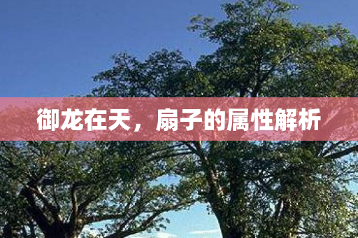 御龙在天,扇子的属性解析 御龙在天,扇子的属性解析