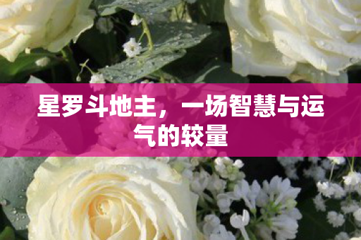 星罗斗地主,一场智慧与运气的较量 星罗斗地主,一场智慧与运气的较量
