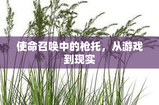 使命召唤中的枪托,从游戏到现实 使命召唤中的枪托,从游戏到现实