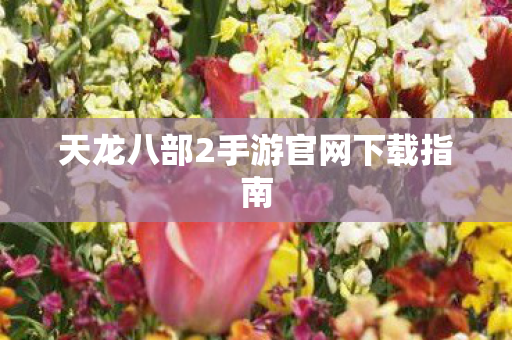 天龙八部2手游官网下载指南 天龙八部2手游官网下载指南