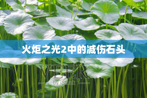 火炬之光2中的减伤石头 火炬之光2中的减伤石头