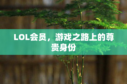 LOL会员，游戏之路上的尊贵身份
