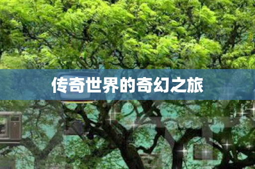 传奇世界的奇幻之旅