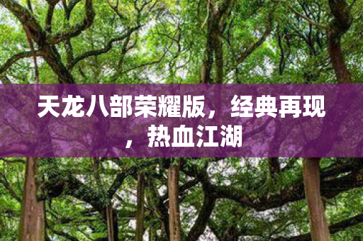 天龙八部荣耀版，经典再现，热血江湖