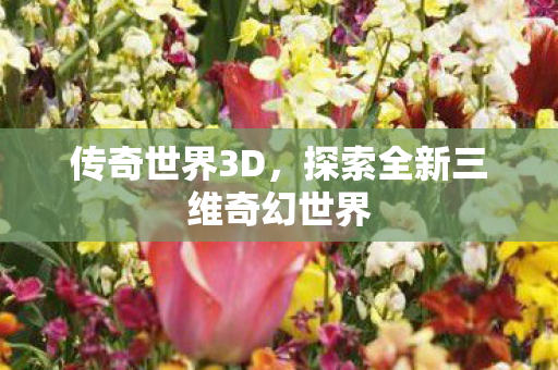 传奇世界3D,探索全新三维奇幻世界 传奇世界3D,探索全新三维奇幻世界