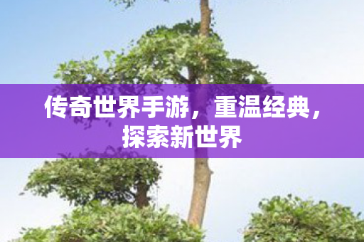 传奇世界手游,重温经典,探索新世界 传奇世界手游,重温经典,探索新世界