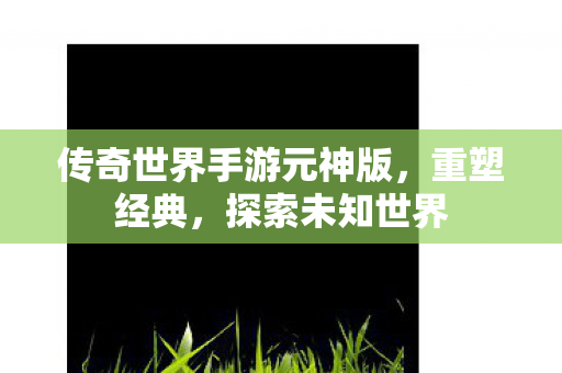 传奇世界手游元神版,重塑经典,探索未知世界 传奇世界手游元神版,重塑经典,探索未知世界