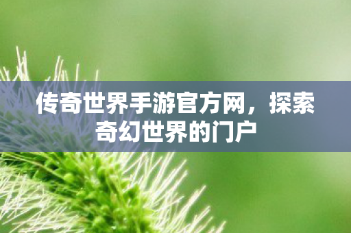 传奇世界手游官方网,探索奇幻世界的门户 传奇世界手游官方网,探索奇幻世界的门户