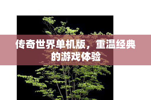 传奇世界单机版,重温经典的游戏体验 传奇世界单机版,重温经典的游戏体验