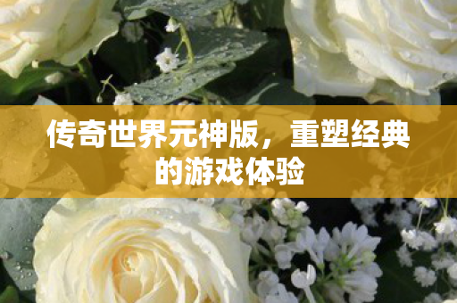 传奇世界元神版,重塑经典的游戏体验 传奇世界元神版,重塑经典的游戏体验