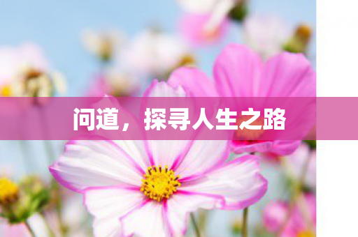 问道,探寻人生之路 问道,探寻人生之路