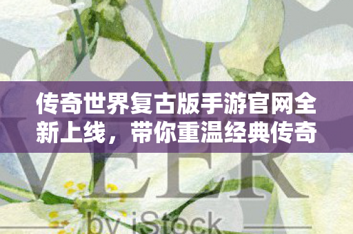 传奇世界复古版手游官网全新上线,带你重温经典传奇世界 传奇世界复古版手游官网全新上线,带你重温经典传奇世界