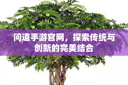 问道手游官网,探索传统与创新的完美结合 问道手游官网,探索传统与创新的完美结合